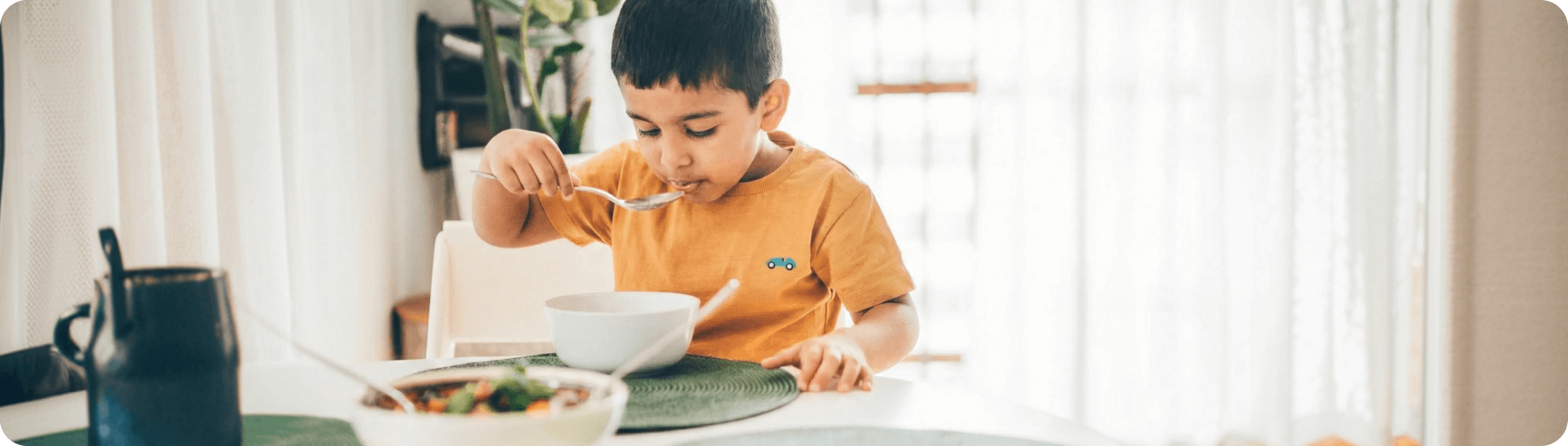 Supplementation & Nutrition - Professional guidance